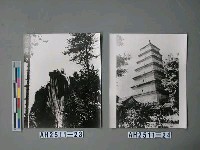 藏品(大雁塔)的圖片